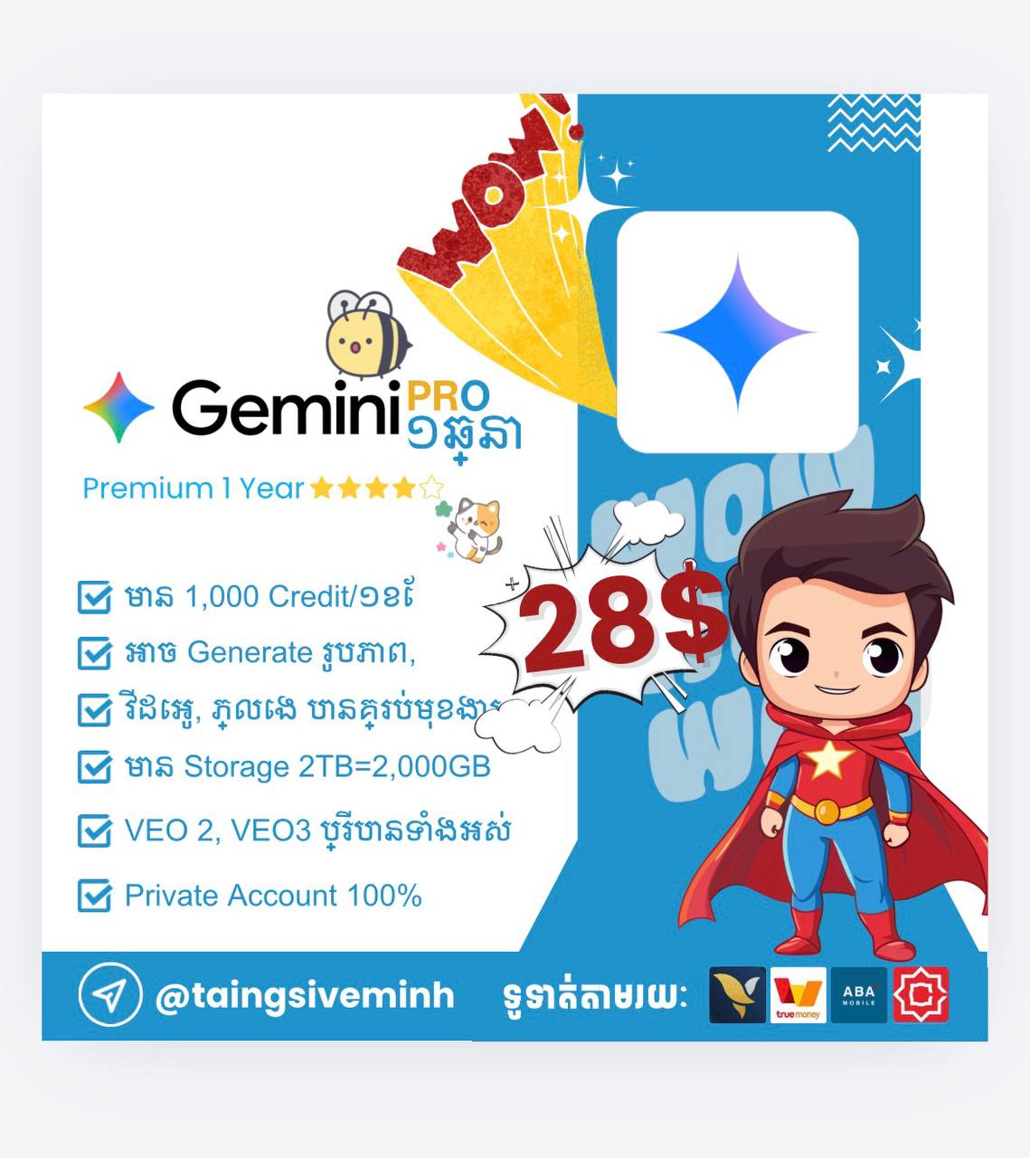 Gemini Pro subscription